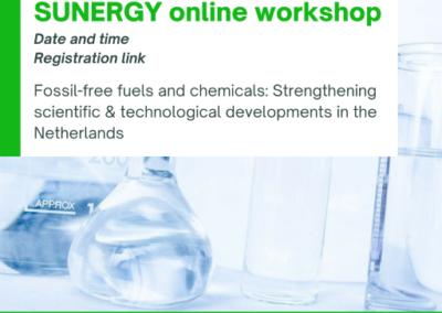 SUNERGY Online Workshop The Netherlands