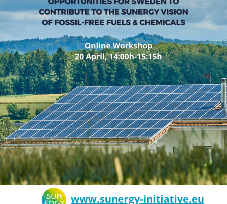 SUNERGY Online Workshop Sweden
